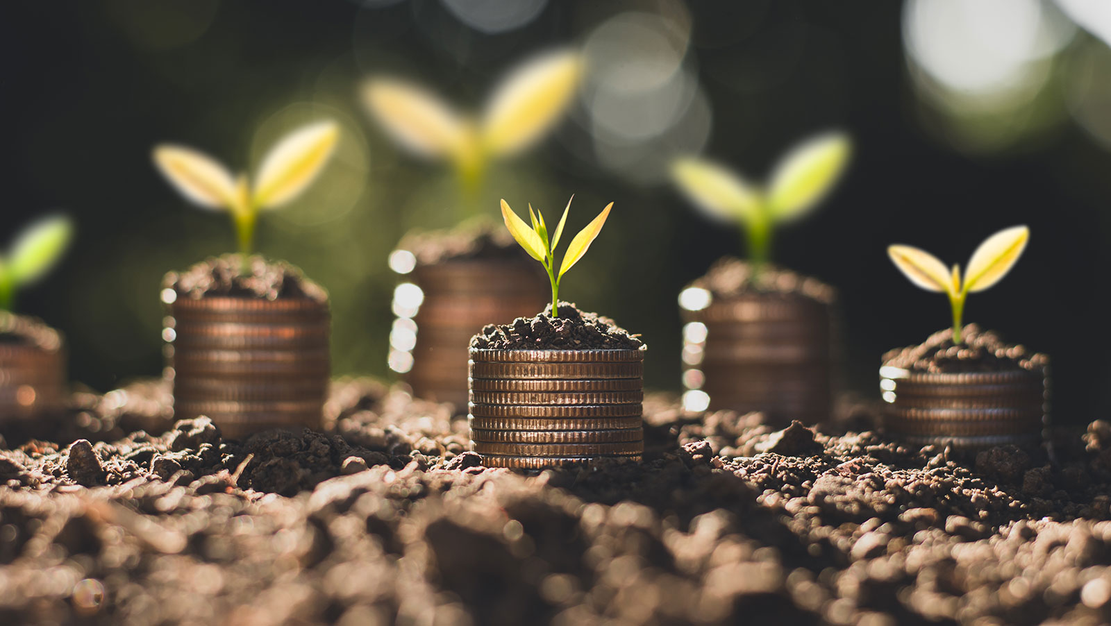 Develop a mind set for investing – and make your savings work
